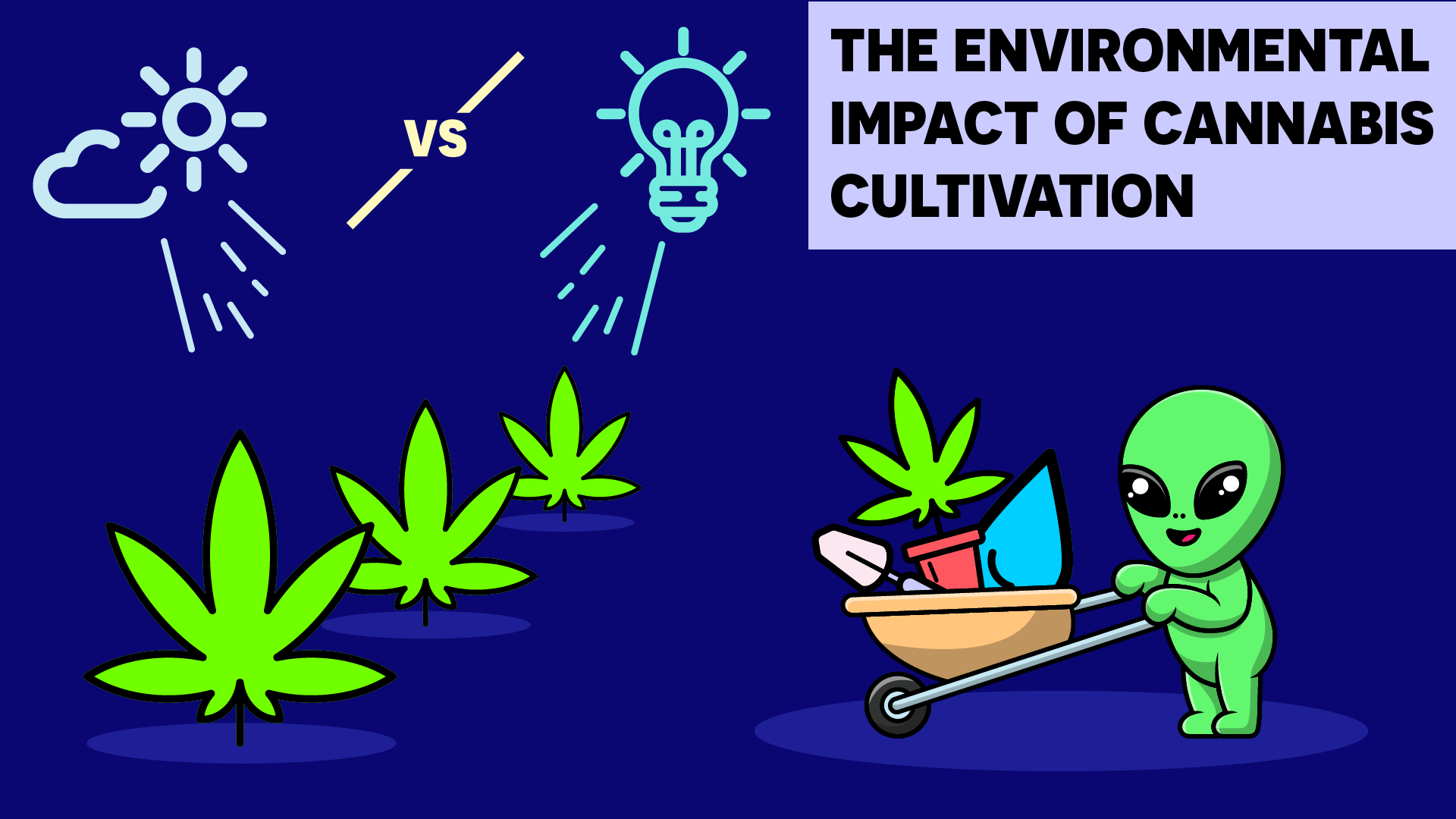 Cannabis Cultivation Impact