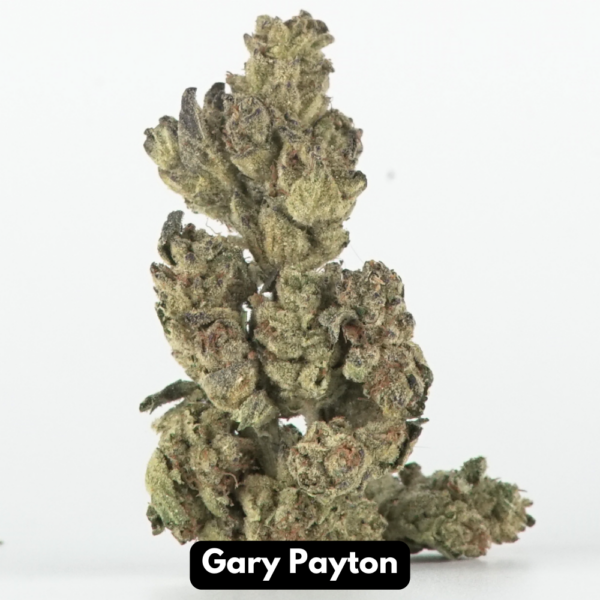 Natural THC-A Flower (Gary Payton)