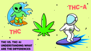 THC vs. THC-A