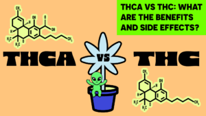 THCA vs THC