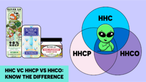 HHC vs HHCP vs HHCO