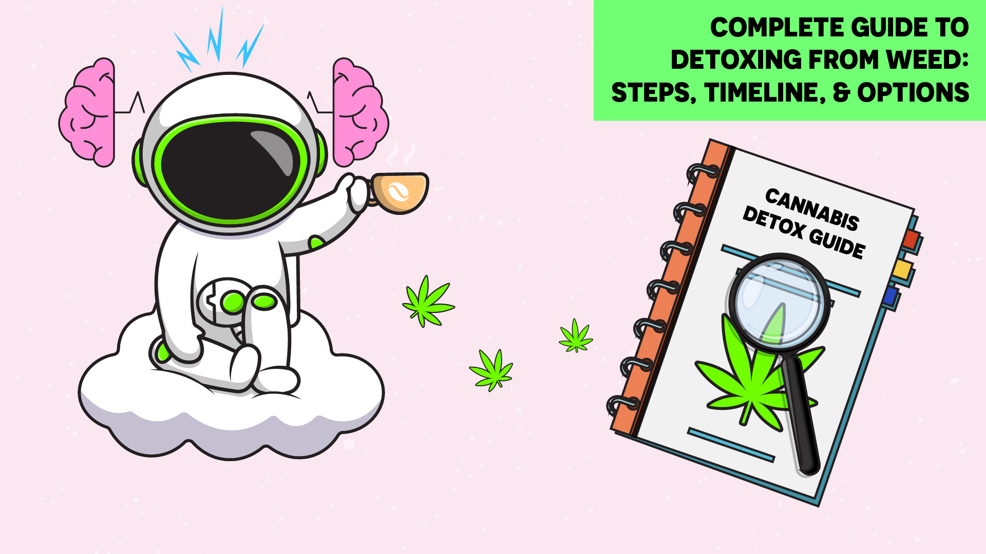 Complete Guide to Detoxing from Weed—Steps, Timeline, & Options